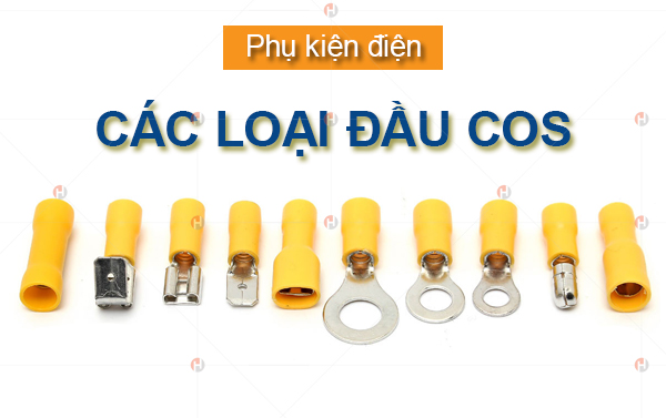 cac-loai-dau-cos