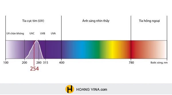 Tia cực tím là gì? Tác hại và biện pháp ngăn chặn