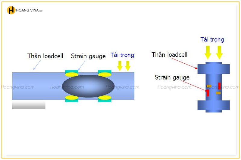 Cấu tạo Loadcell